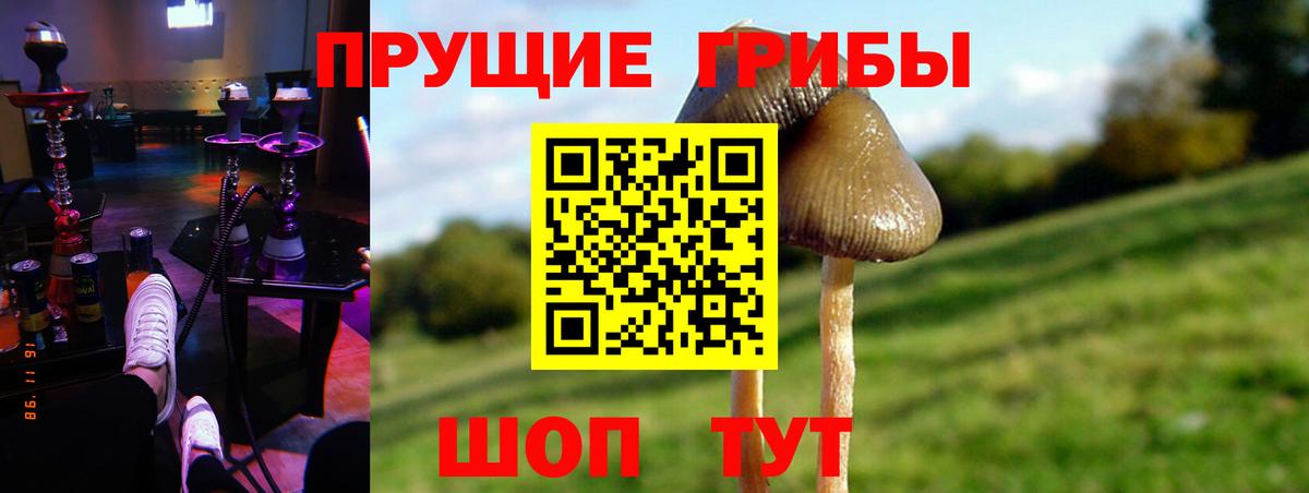 Псилоцибиновые грибы Magic Shrooms  Псилоцибиновые грибы ЛСД  Гуково  Вход с VPN 
